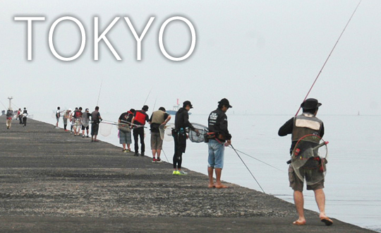 東京湾クラブ対抗ヘチ釣り選手権