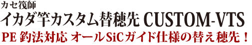 PE釣法対応オールSiCガイド仕様の替え穂先！