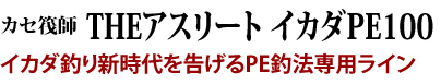 イカダ釣り新時代を告げるPE釣法専用ライン