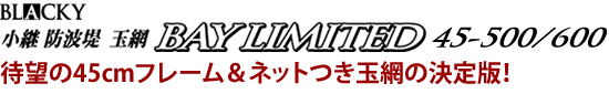 待望の45cmフレーム&ネットつき玉網の決定版