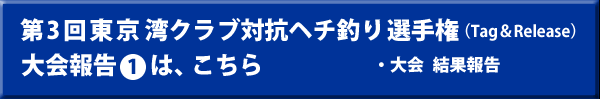 大会報告1はこちら