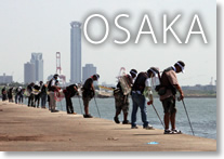2012大阪湾大会