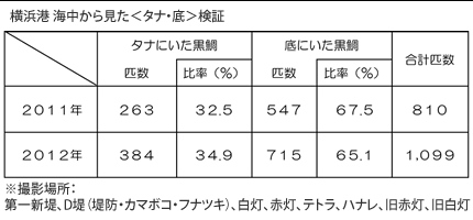 横浜港 海中から見た＜タナ・底＞検証＞